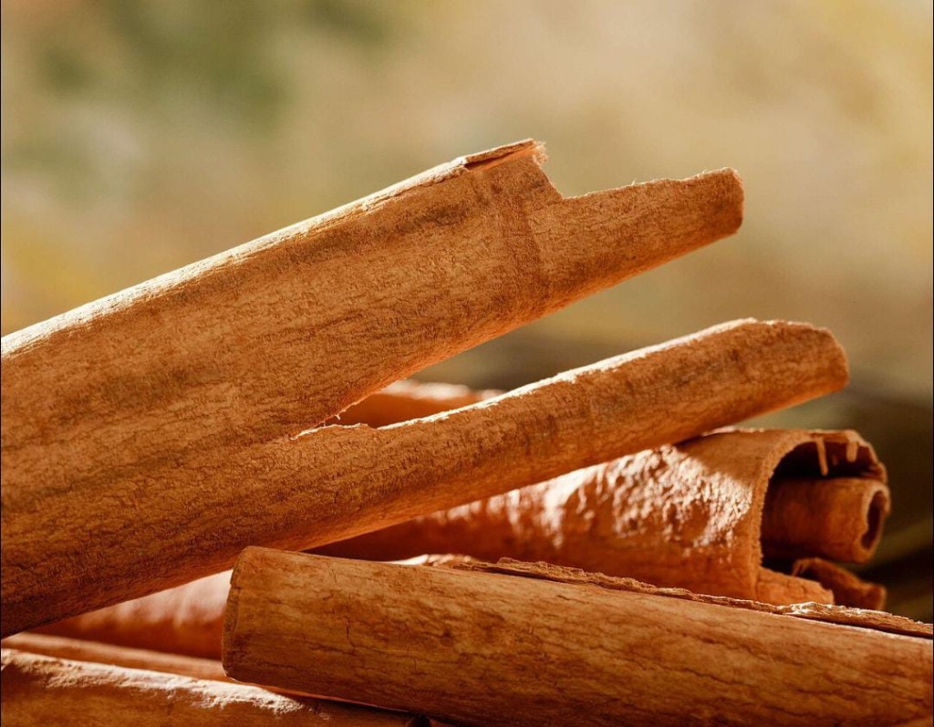 Cinnamon Sticks